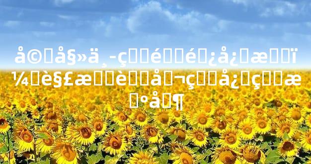 婚姻中的逃避心态：解析老公的心理机制